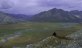 Should the Arctic National Wildlife Refuge be opened to oil drilling?