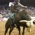 Should rodeo be banned?