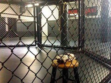 MMA rules: Should it be allowed to grab the fence?