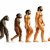Is there a scientific proof of evolution?