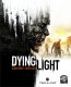 Dying Light as a PlayStation game.