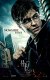 Harry Potter and the Deathly Hallows Part 1 as a movie.