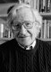 Noam Chomsky as an activist.