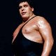 André the Giant as a professional wrestler.