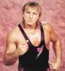 Owen Hart as a professional wrestler.